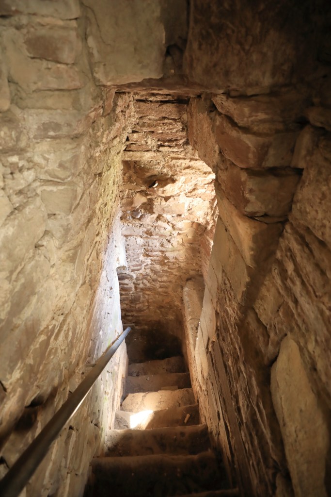 Doune castle stairs with swallow in cleft
