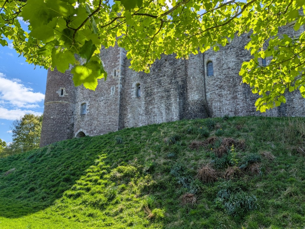 Doune Castle from under a tree